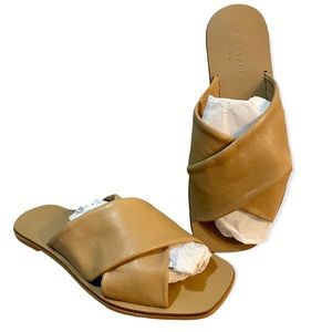 NEW Everlane The Day Crossover Sandal